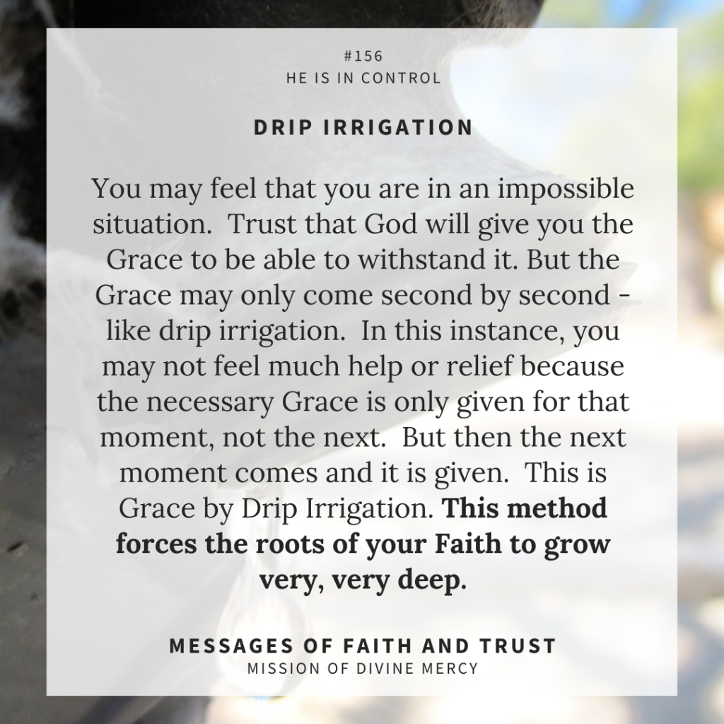 MDM Faith & Trust Messages - December 29, 2021